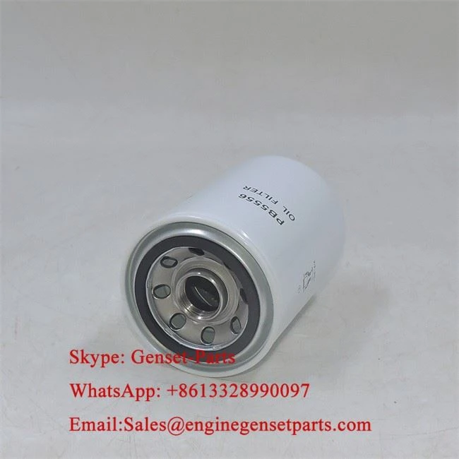 PB5556 Hydraulic Filter PB5556 Hydraulic Filter